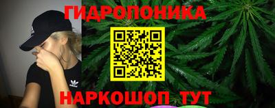 ешки Аргун